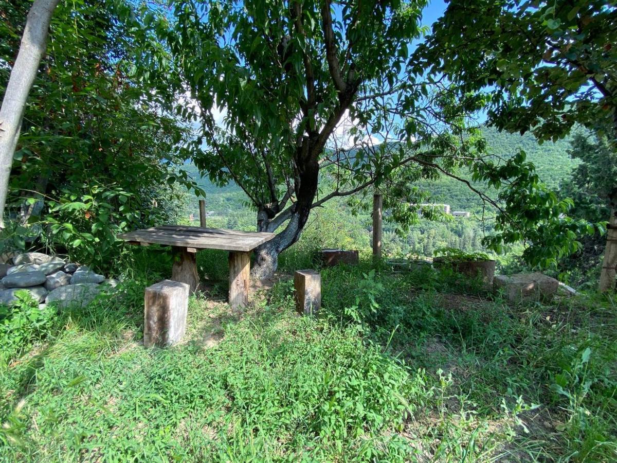 Green Garden Ijevan Dış mekan fotoğraf