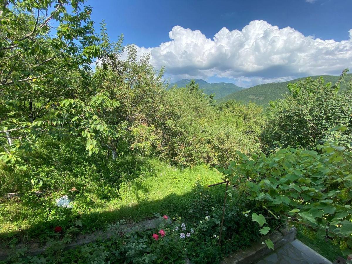 Green Garden Ijevan Dış mekan fotoğraf