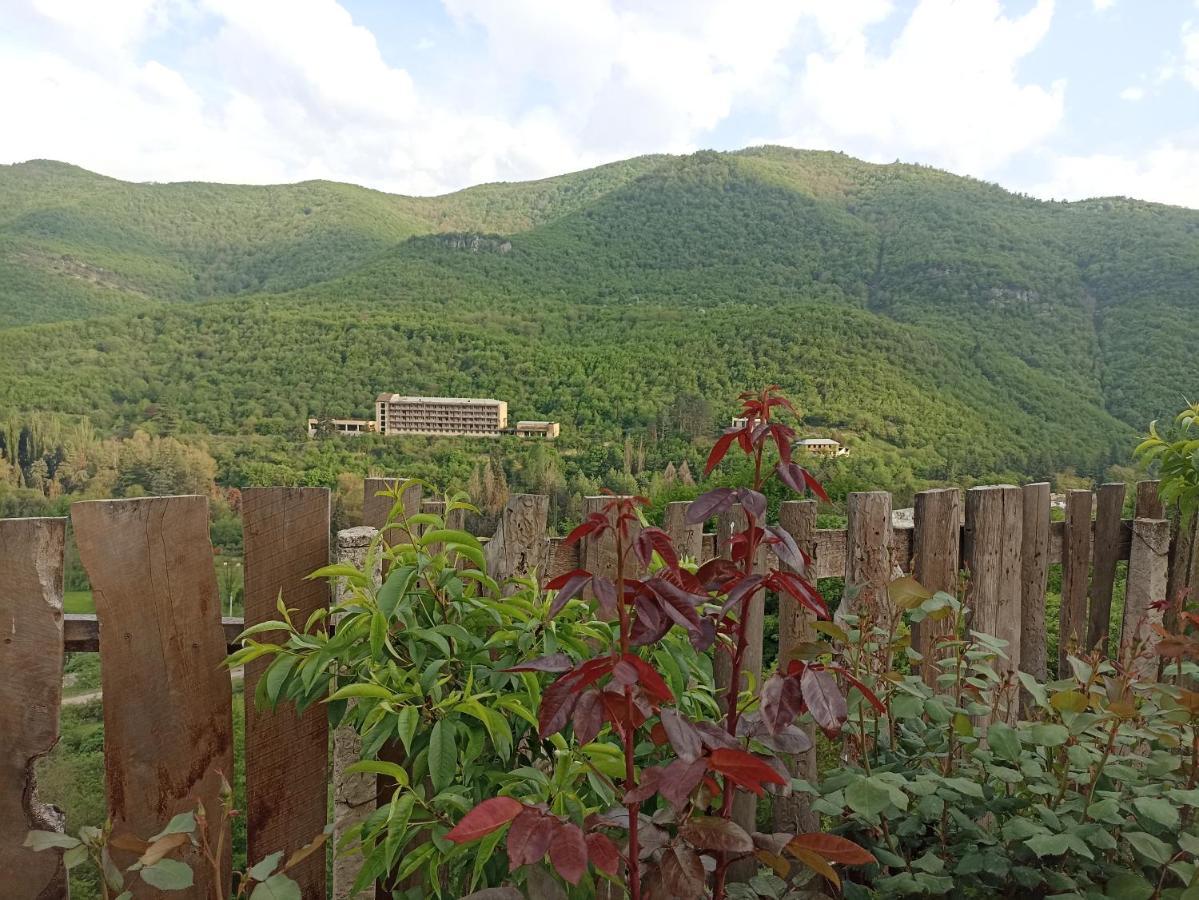 Green Garden Ijevan Dış mekan fotoğraf