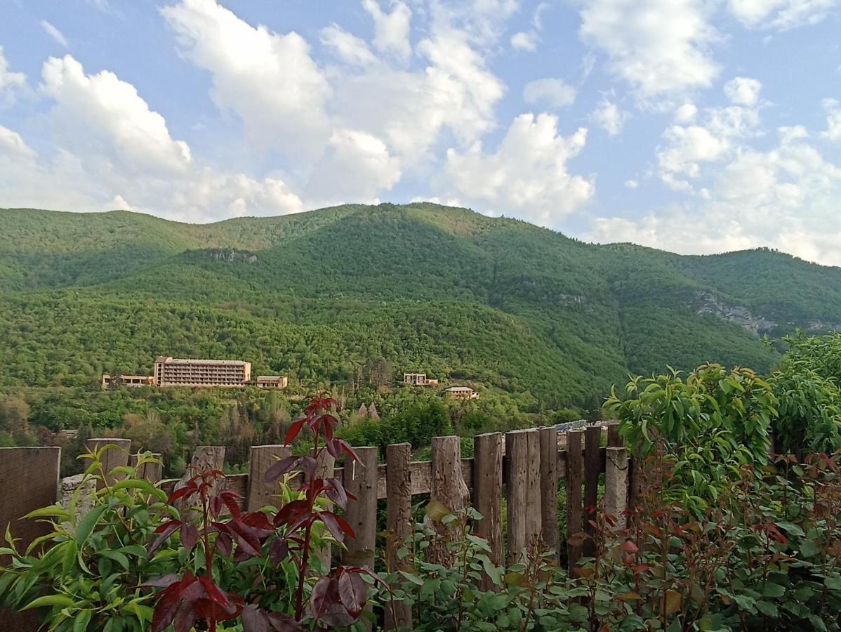 Green Garden Ijevan Dış mekan fotoğraf